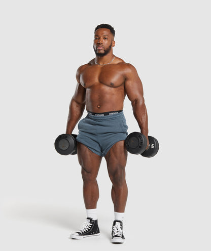 Gymshark Heritage Washed 5" Shorts - Titanium Blue